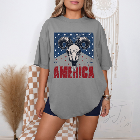 America Patriotic Skull Graphic Tee